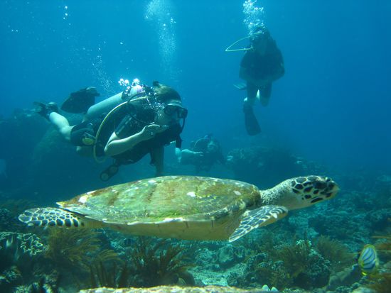 da sind wir alle drei mit unserer Schildi 