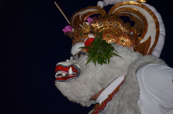 der rettende weiße Affe