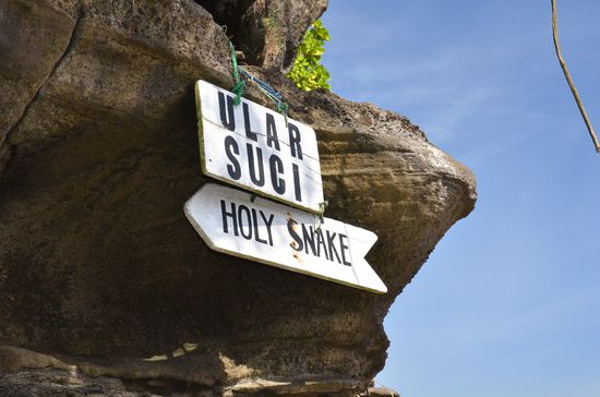 der Weg zur "Nicht"-giftigen Schlange 