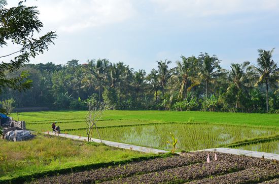 Blick von unserer Terrasse TRAUMHAFT !!!