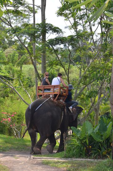 wenns Berg-Ab geht, hat der Riese ganz schön zu kämpfen..