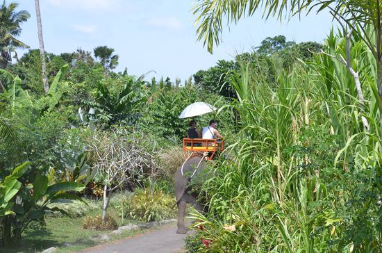 wie ne Prinzessin sitzt se oben 