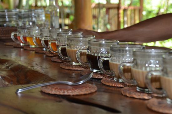 lasst uns probieren: Ingwertee, Lemongrasstee, Ginsengtee, Vanillatee, Bali Coffee, Bali Mocca, Coconut Coffee, Vanilla Coffee,  Ingwer Coffee, Kakao, Tamarindtee! 