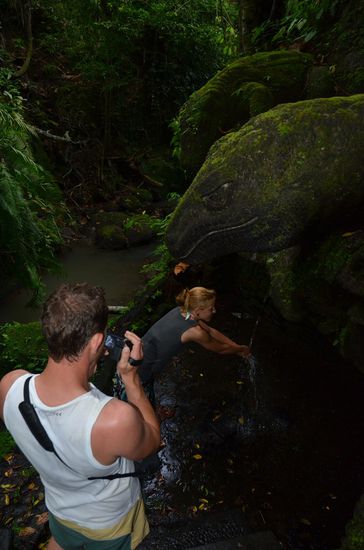 die ersten Komodo Warane
