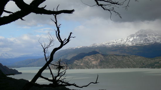 Rückblick auf den Lago Grey
