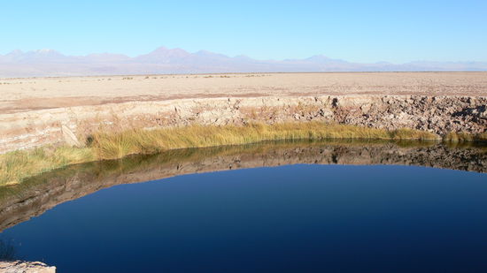 Süßwasserpfützen inmitten der Salzwüste