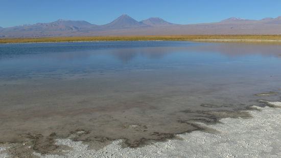 Laguna Cejar