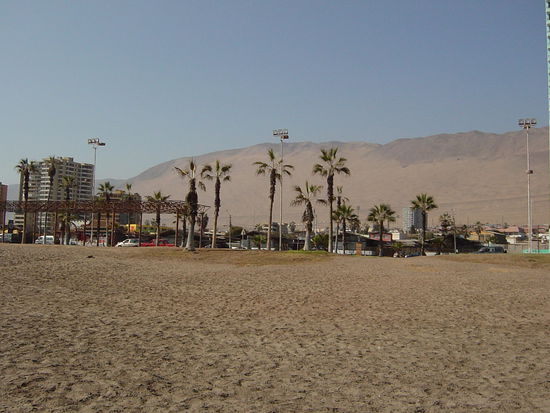 Ein Morgen am Strand