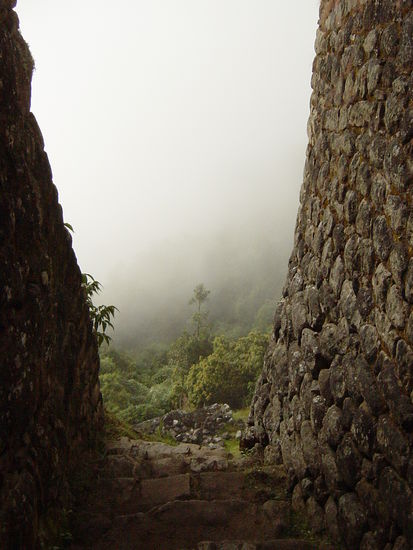 Mapi im Morgengrauen