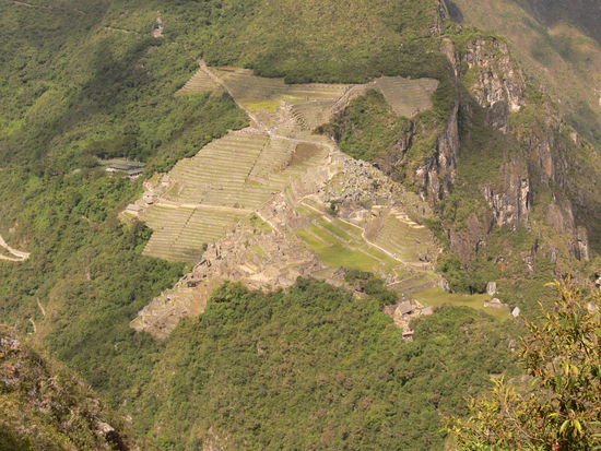 Wer hier einen Adler erkennt, nimmt definitiv zuviele Drogen...