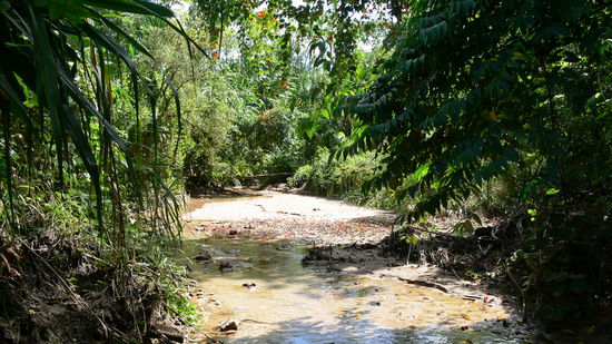...und hier fühlen wir uns gleich viel wohler...viel schöner