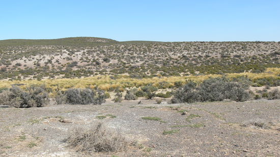 Patagonische Prärie