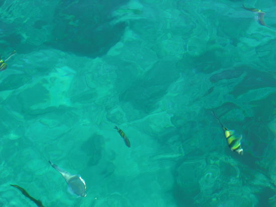 Staendige Begleiter..