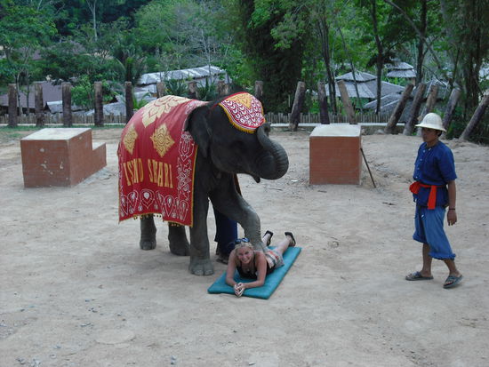 ich lebe noch.......