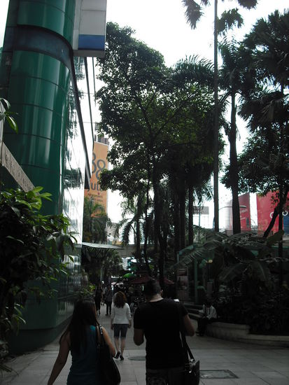 Fussgaengerzone mit Dschungel