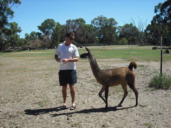 Tonys neuer Freund war nicht mehr loszuwerden...