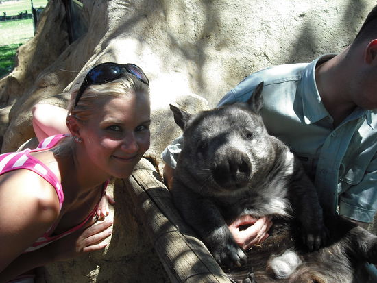 Wombat.....faul und fett