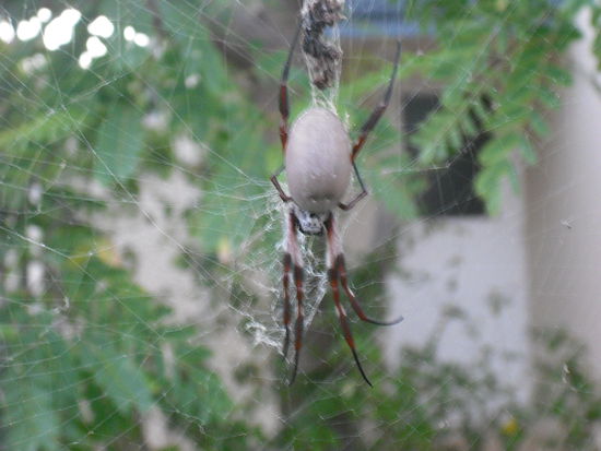 .....ein Monster!!!!!