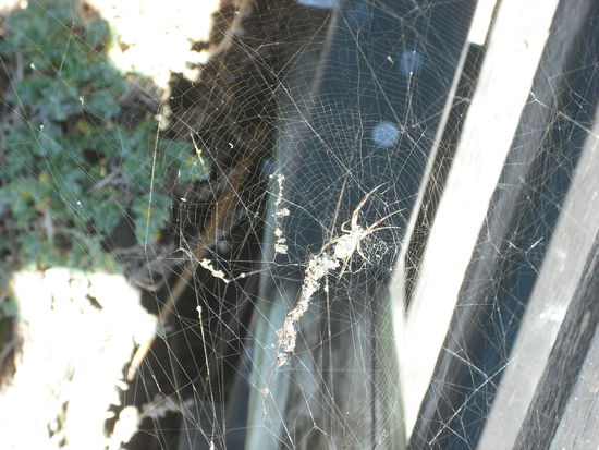 Immer und ueberall anwesend...in klein und gross