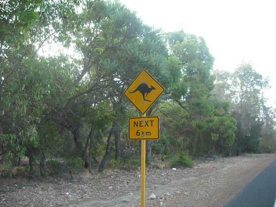 bis wir dann wieder heim sind