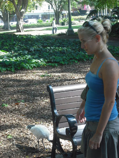 nein kein Dschungel CBD