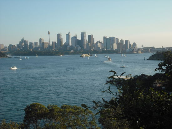 Aussicht vom Taronga Zoo auf die Stadt