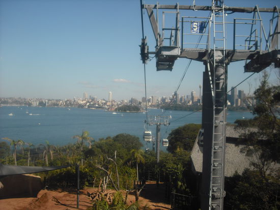 Seilbahn fürht quer durch den Zoo bis runter zur Fähre