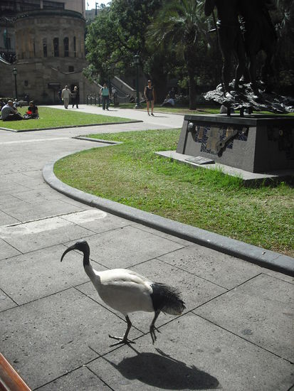 Hat mir beim Mittagessen Gesellschaft geleistet