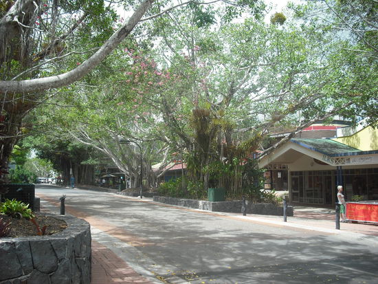 Kuranda Dschungel Stadt
