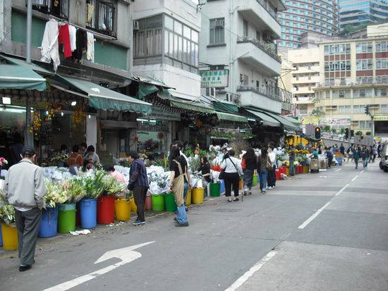 Flower Market