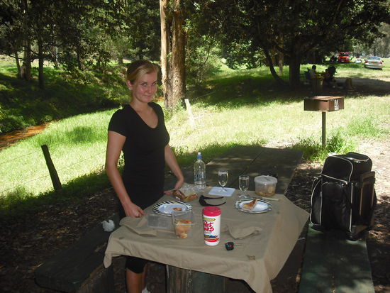 Eins von unzaehligen Pickniks 
