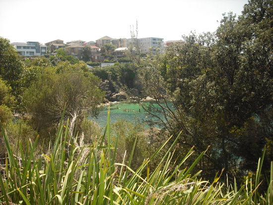 Walking Trail Coogee-Bondi