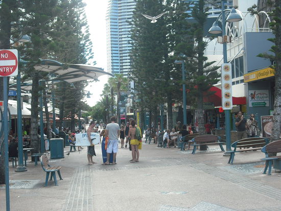 Alles dreht sich hier ums surfen, ums surfen, ums surfen und ums surfen..ach ja und um Junk Food und Bier