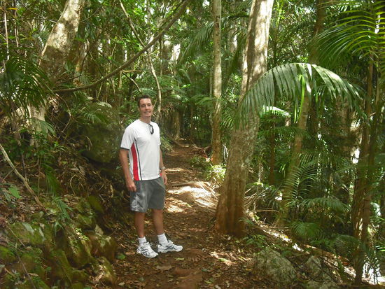 Dschungel Walk am Mt Tamborine..Luftfeuchte 100%