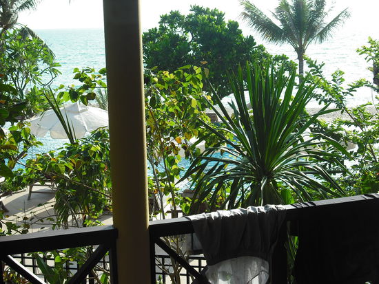 Blick morgends nachm aufwachen...