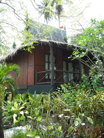 unsere Huette im Dschungel