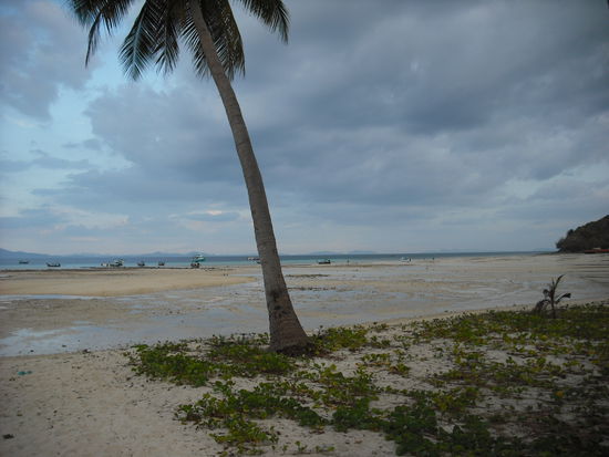 das wasser war auf einmal weg...