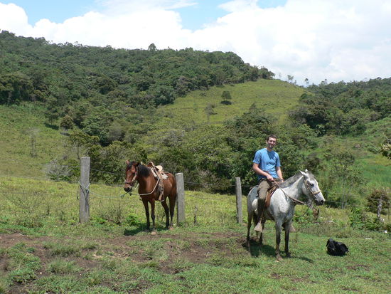 Auf dem Gaul ueber Stock und Stein