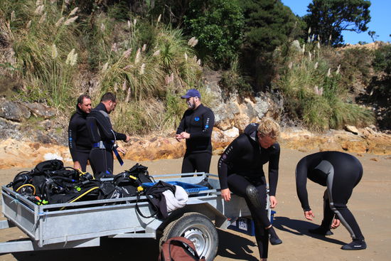 Mein erster Tauchgang...gleich am ersten Tag ging´s ins Wasser