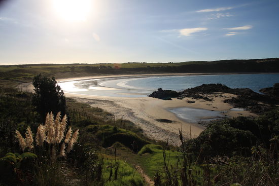 Maitai Bay von der anderen Seite. Die Gezeiten sind deutlich zu sehn: morgens Flut, abends Ebbe.