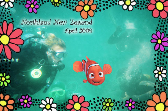 Ja, Nemo war auch da. zumindest seine größeren Geschwister 