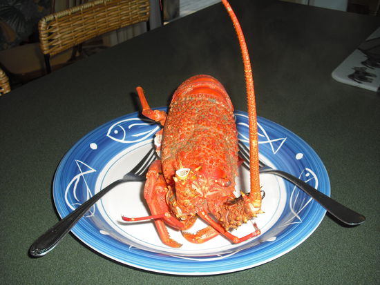 Das ist ganz nach meinem Geschmack, aber jeden tag muss es nich sein.