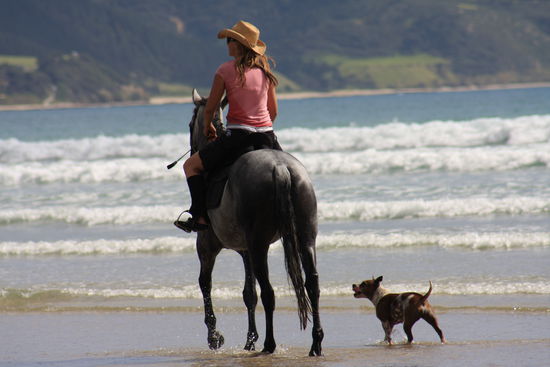 New Zealand´s Life-Style... am Ninty Mile Beach