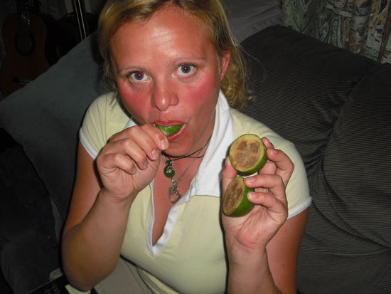 Mmmmhhh, lecker, Fejoas. Eigentlich aus Südamerika. Eine Kreuzung aus Ananas und Guave. Ganz und gar köstlich!!!!!