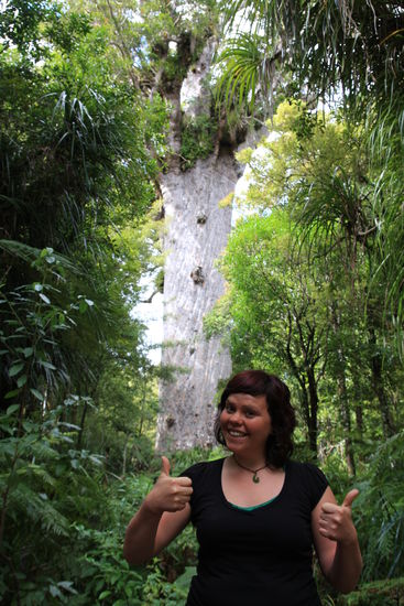 Belli und Tane Mahuta (in Maori-Sprache: Gott des Waldes), der größte der Kauris in NZ