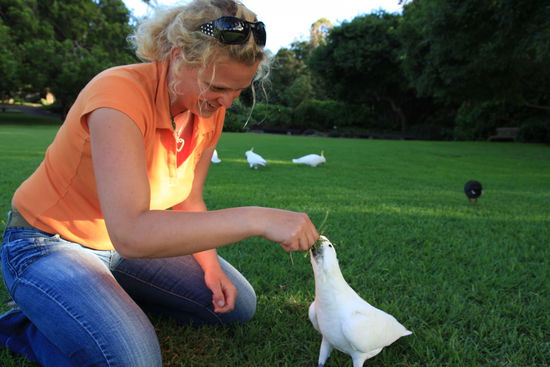 ...im Royal Botanic Garden. Die weißen Kakadus trifft man im Großraum von Sydney öfters an...