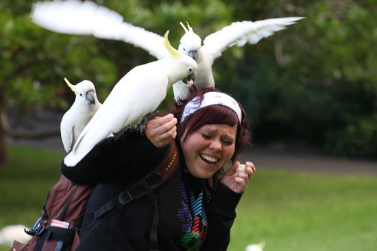 Isabeli schein sie zu mögen. Sie wollten garnicht mehr von ihr lassen. Freche Viecher 