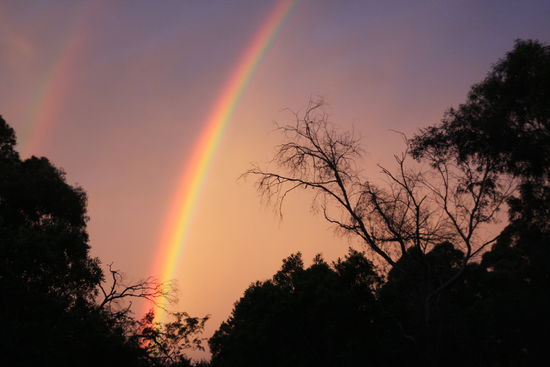 ...in Castle Hill...einem Stadtteil nordwestlich von Sydney...