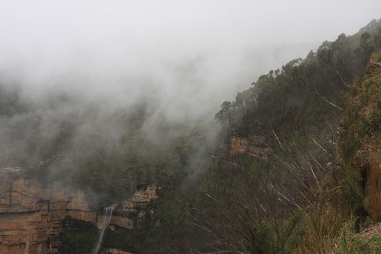 So kann es auch in den Blue Mountains sein, wenn man mit demm Wetter Pech hat. In Sydney ist starhlend blauer Himmel und hier? Waschküche! Es war furchtbar. Drum mußte ich nochmal wieder kommen und da hatten wir mehr Glück mit dem Wetter.