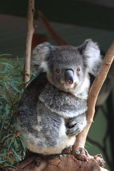 Total süß, der kleene Kerl
